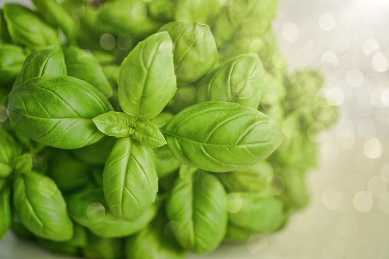 Locally Grown Herbs